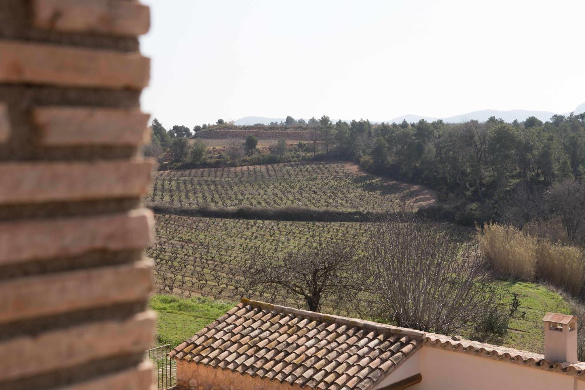 Casa Rural Masia Les Apieres El Pla de Manlleu Zewnętrze zdjęcie